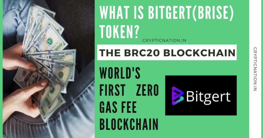 What is Bitgert(BRISE) token?