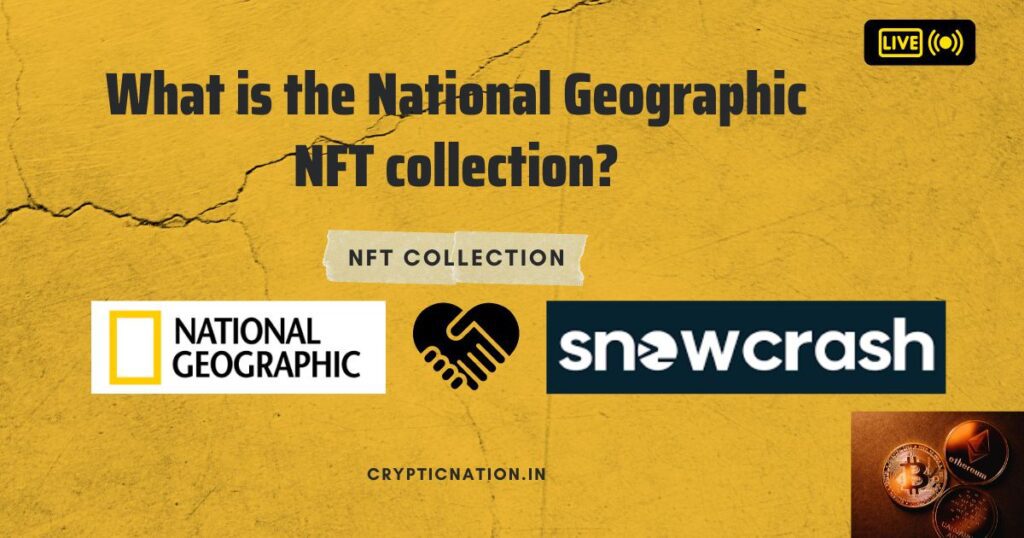 What is the National Geographic NFT collection?