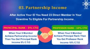 Partnership Income