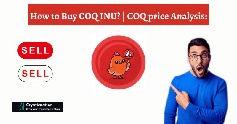 How to Buy COQ INU